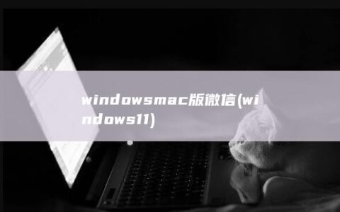 windowsmac版微信 (windows 11)