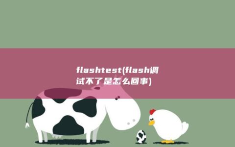 flashtest (flash调试不了是怎么回事)