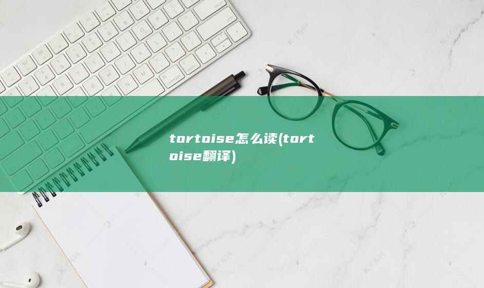 tortoise翻译